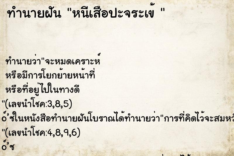 ทำนายฝัน หนีเสือปะจระเข้ 
